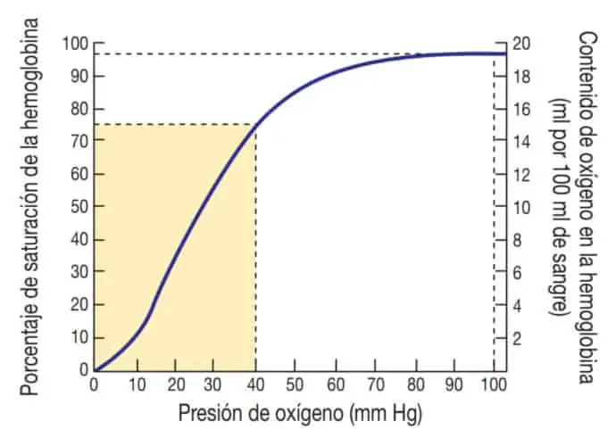 Porcentaje de saturación de hemoglobina en relación con la presión de Oxígeno.