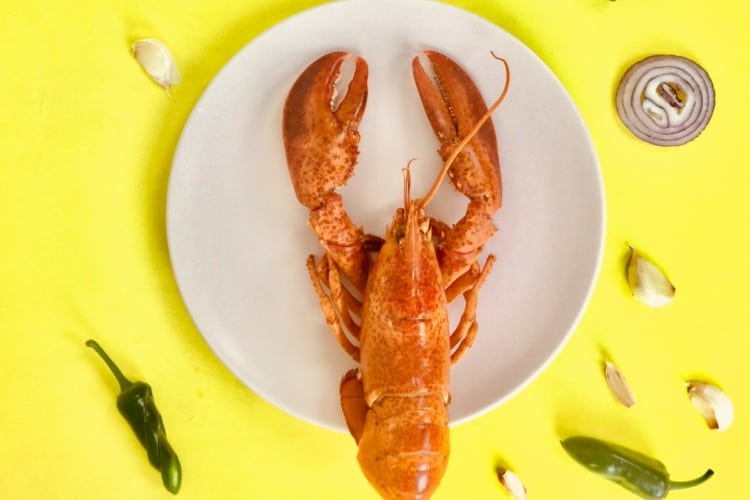 3 beneficios del marisco para deportistas 1 Se recomienda la presencia del marisco en la dieta habitual