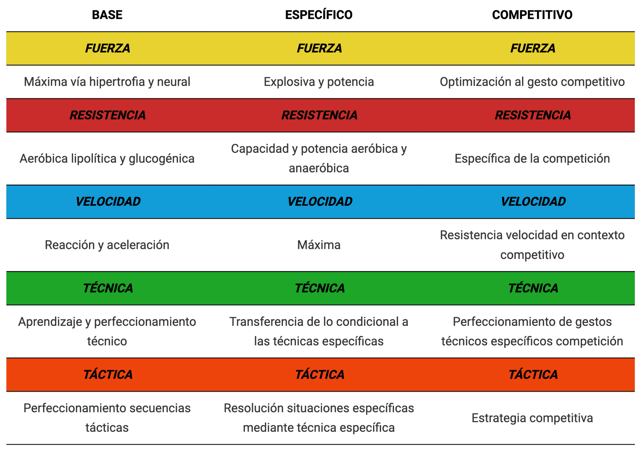 Entrenamiento En Deportes De Combate【1 Guía Completa】 3652