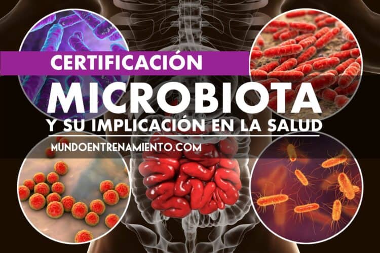 Certificación Microbiota intestinal