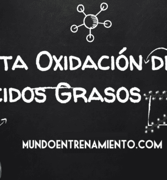 beta-oxidación de ácidos grasos