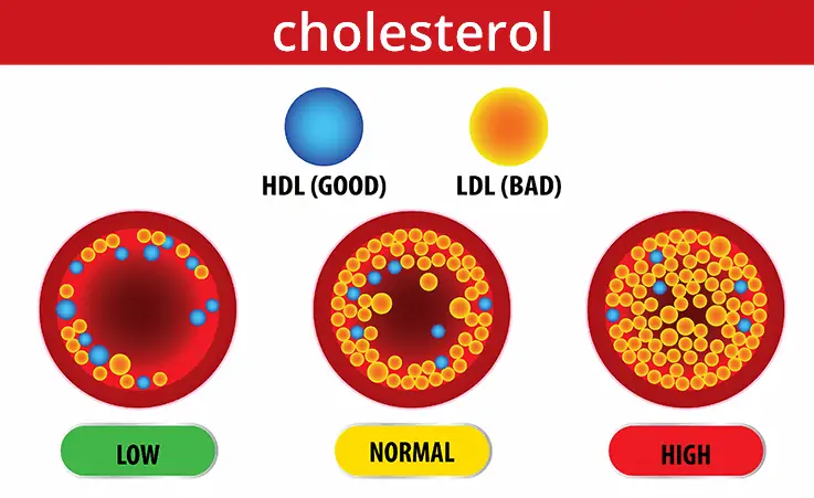 Gráfico colesterol