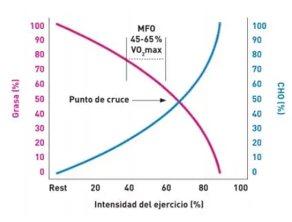 Oxidación de grasas e intensidad del ejercicio.