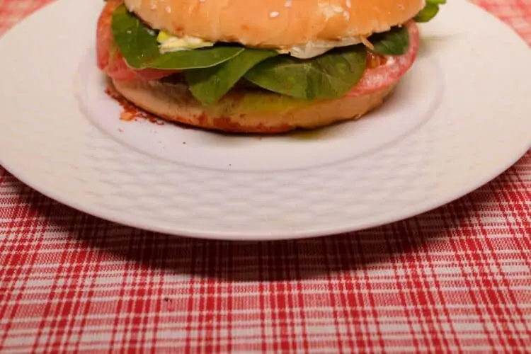 la hamburguesa vegana cuenta con ingredientes con alto contenido en proteínas