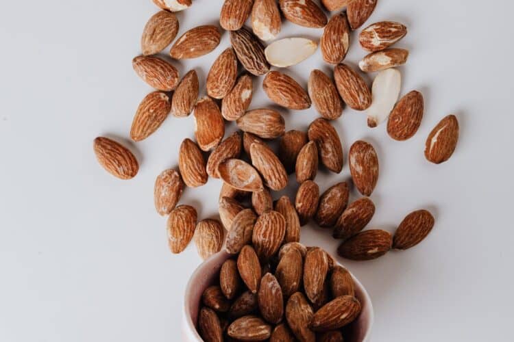 Cómo tomar proteínas para aumentar la masa muscular hay alimentos con proteína vegetal