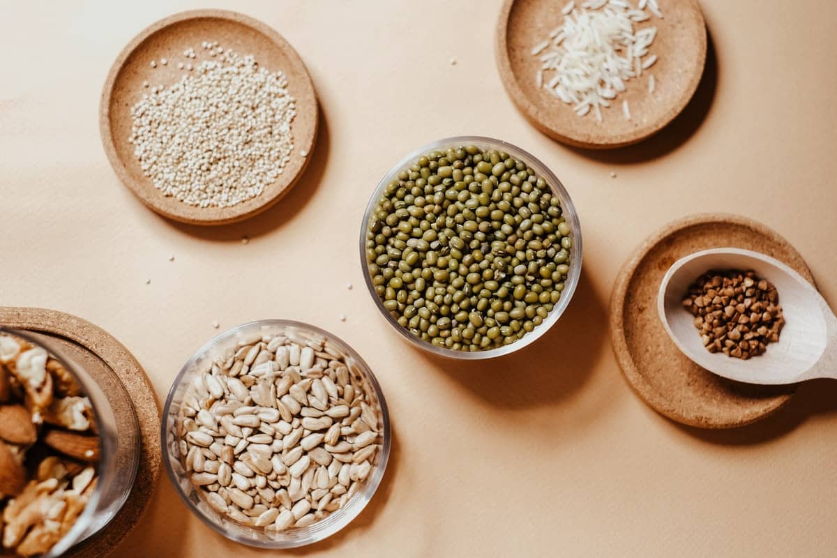 la quinoa es un pseudocereal de gran calidad