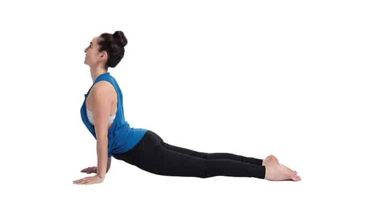 Upward Facing Dog (Urdhva Mukha Svanasana)
