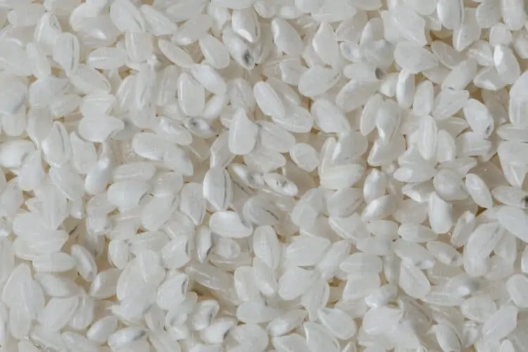 El arroz contiene almidón resistente