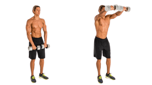 Frontales Con Mancuerna Sentado Vuelos Frontales Con Mancuernas