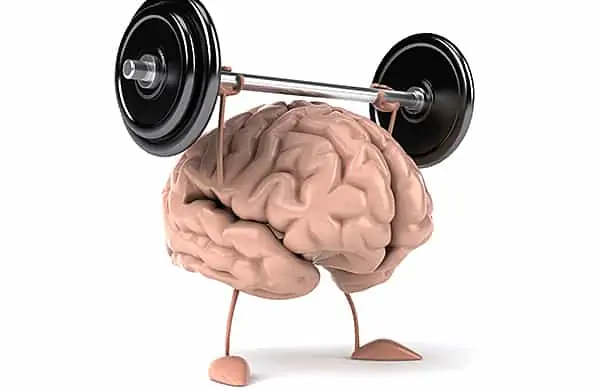 memoria muscular y ejercicio físico