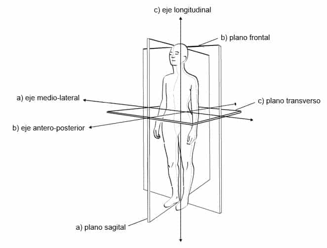 planos y ejes corporales – a) plano sagital, eje medio-lateral, b) plano frontal, eje antero-posterior, c) plano transverso, eje longitudinal