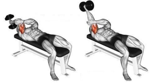 El press francés, Desarrolla tus triceps con este ejercicio, Eurofitness