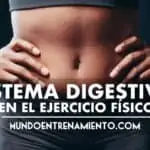 sistema digestivo en el ejercicio físico