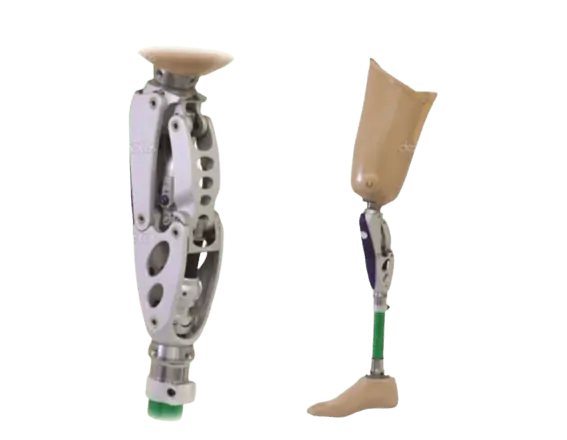 Imagen 3: Prótesis de pierna y pié. Tomado de Holguín (2016)
