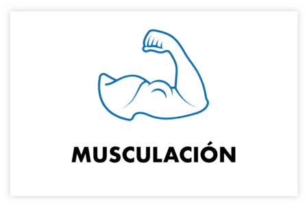 icono musculación