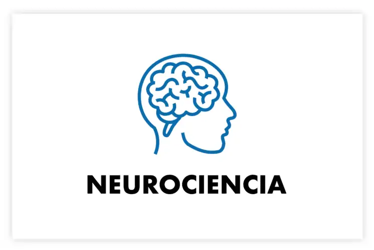 icono neurociencia