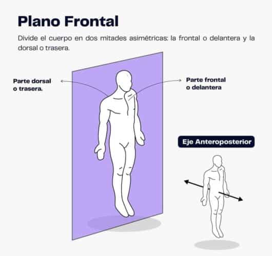 3 Planos y ejes de movimiento Mundo Entrenamiento 3 Planos y ejes de movimiento Mundo Entrenamiento