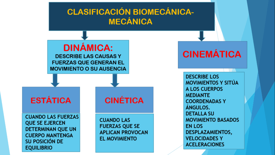6 conceptos de Biomecánica que debes concoer