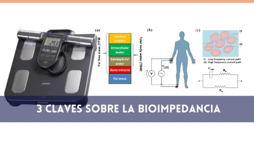 3 claves sobre la bioimpedancia | Mundo Entrenamiento