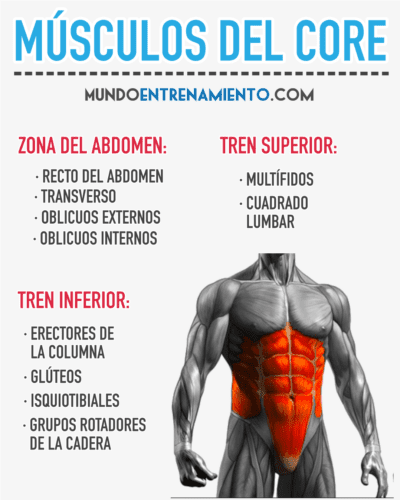 Entrenamiento de la zona media | Mundo Entrenamiento