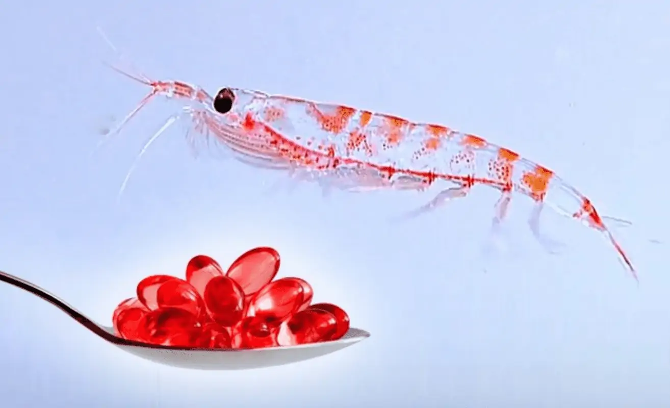 beneficios del aceite de krill