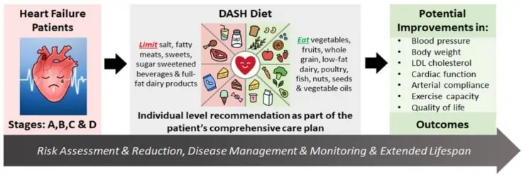 dieta dash y LDL
