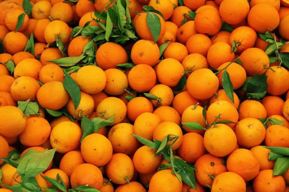 carotenos naranjas
