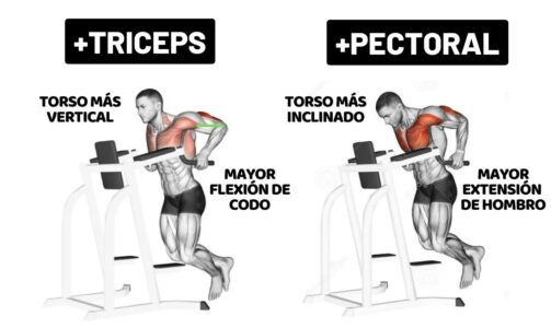 Dips on Parallel Bars - [1 Complete Guide on the Exercise]