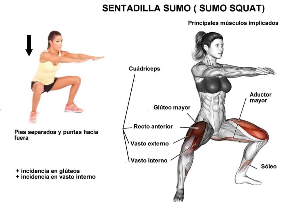 músculos implicados en la sentadilla sumo