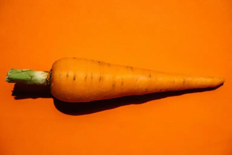 comer zanahoria cruda
