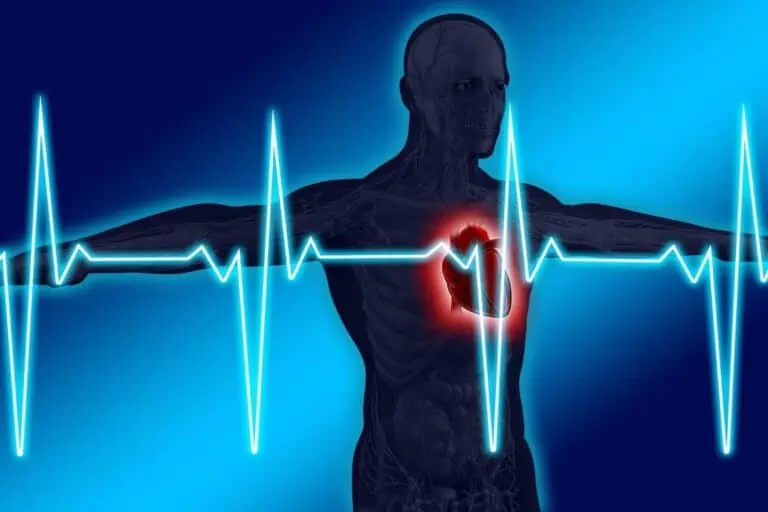 Calcular frecuencia cardíaca máxima