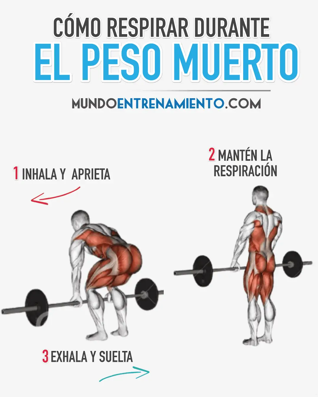 Técnica de peso muerto: entrenar todo el cuerpo eficazmente