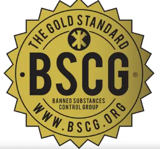 certificación BSCG