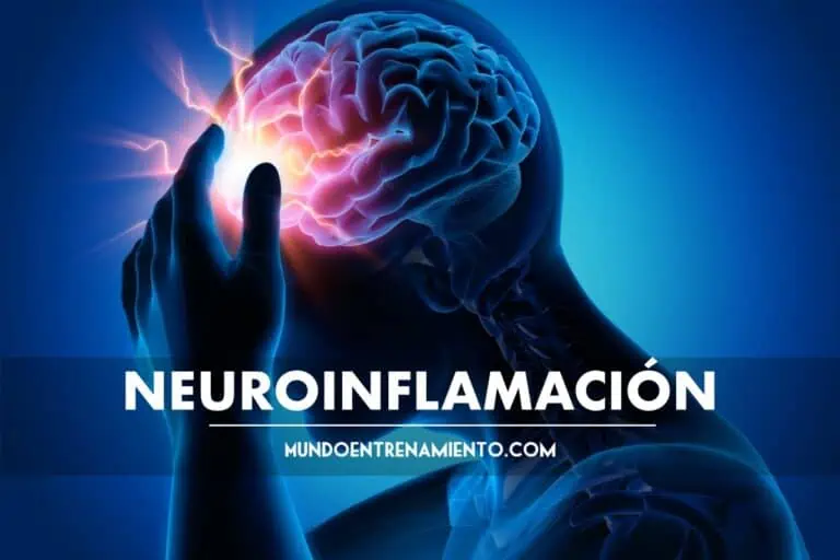 neuroinflamación