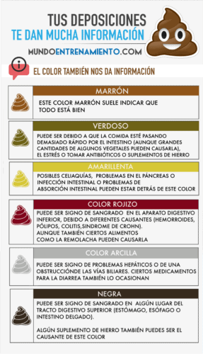 Heces Raton Es Tipos de heces y su significado - 1 Guía completa