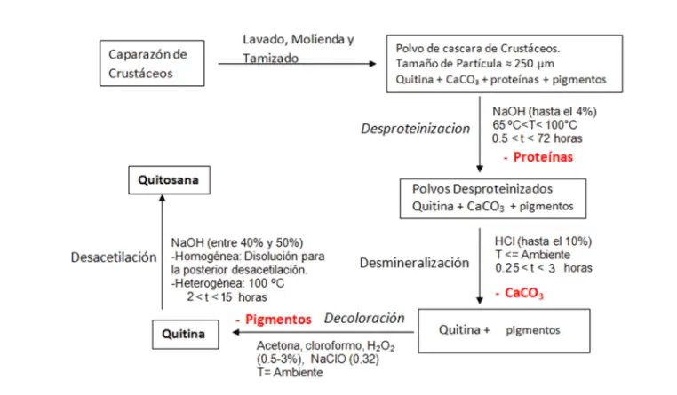 Diagrama proceso de obtención del chitosán