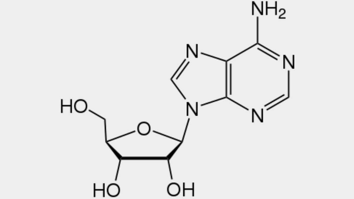 adenosina molécula