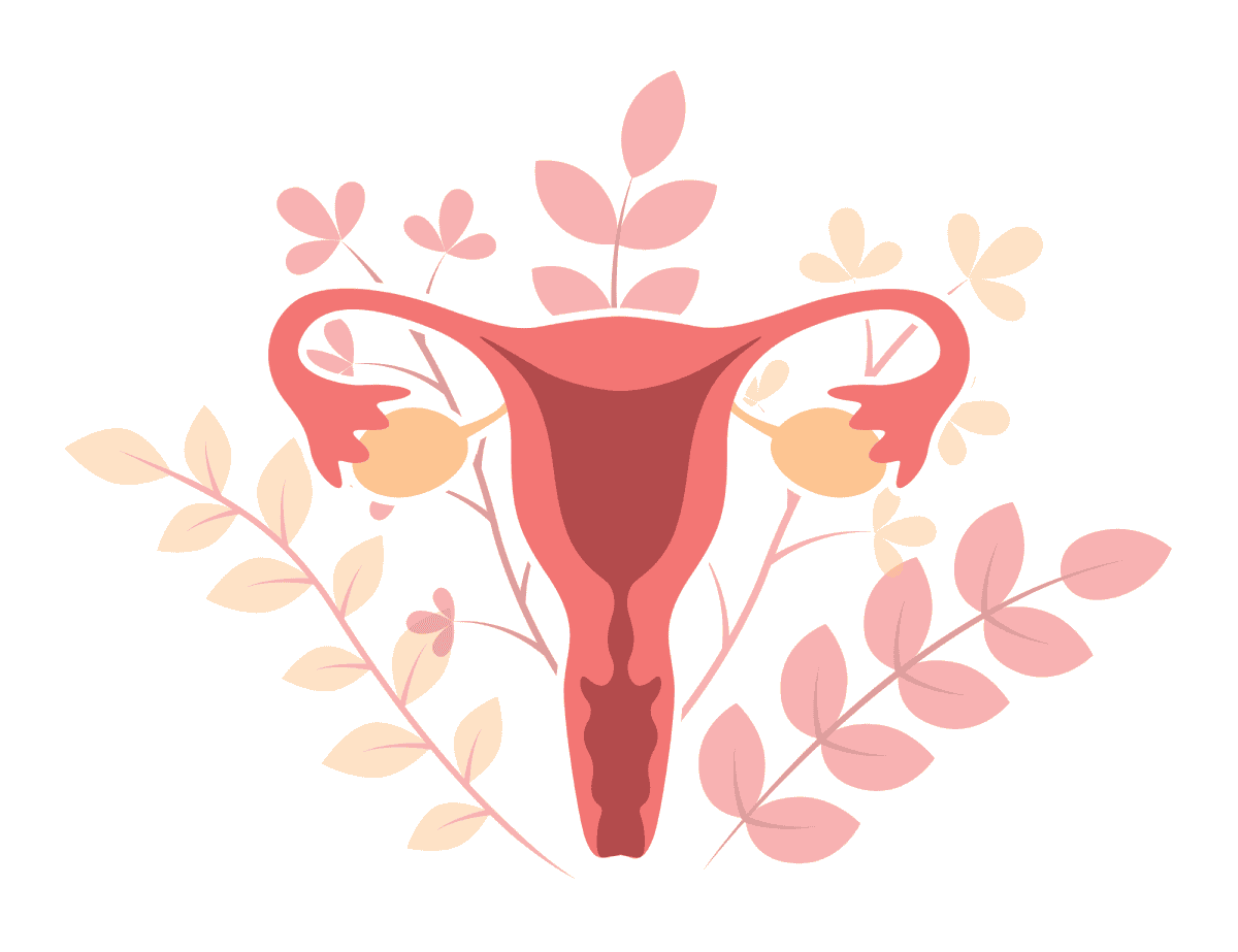 menopausia