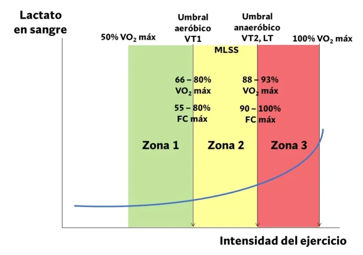 lactato e intensidad