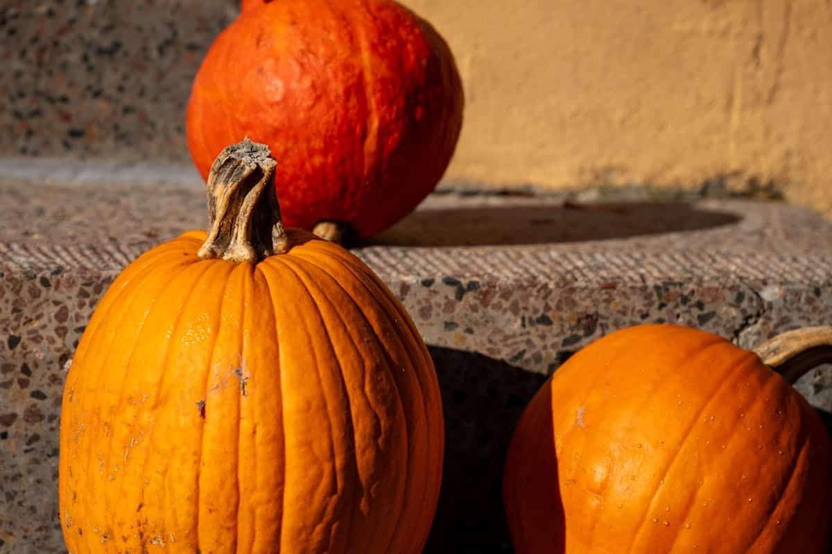 Propiedades de la calabaza