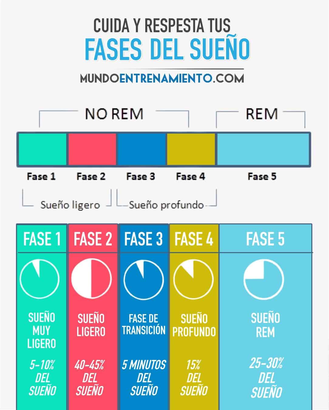 LAS FASES DEL SUEÑO