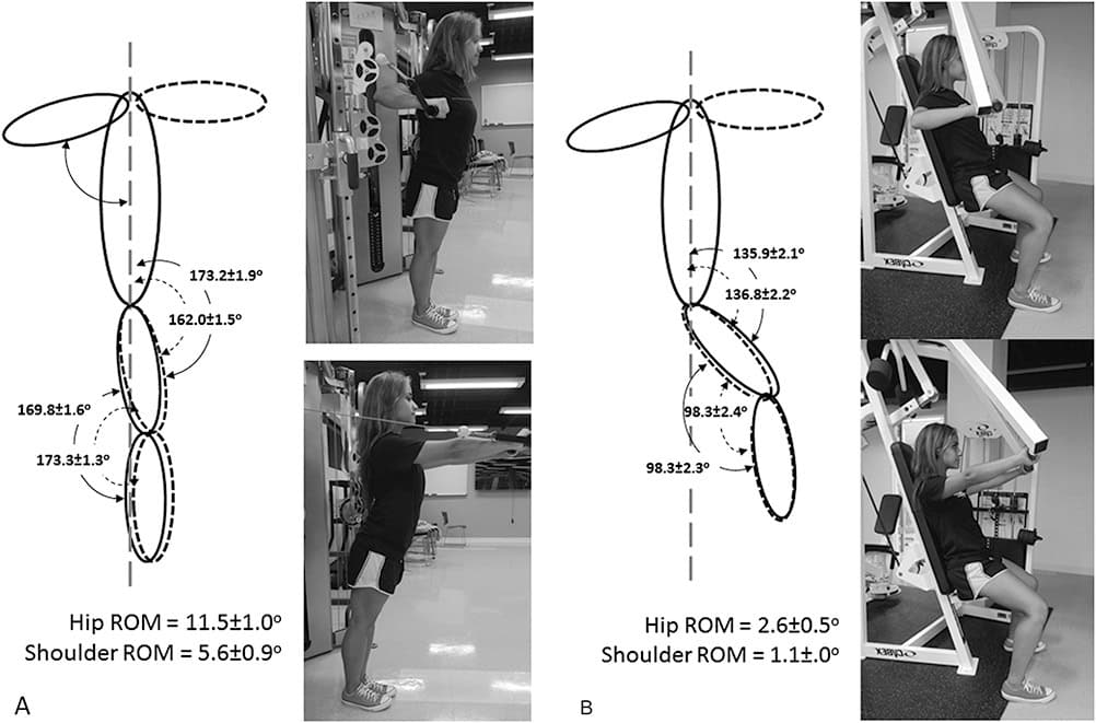 chest gym machine exercises