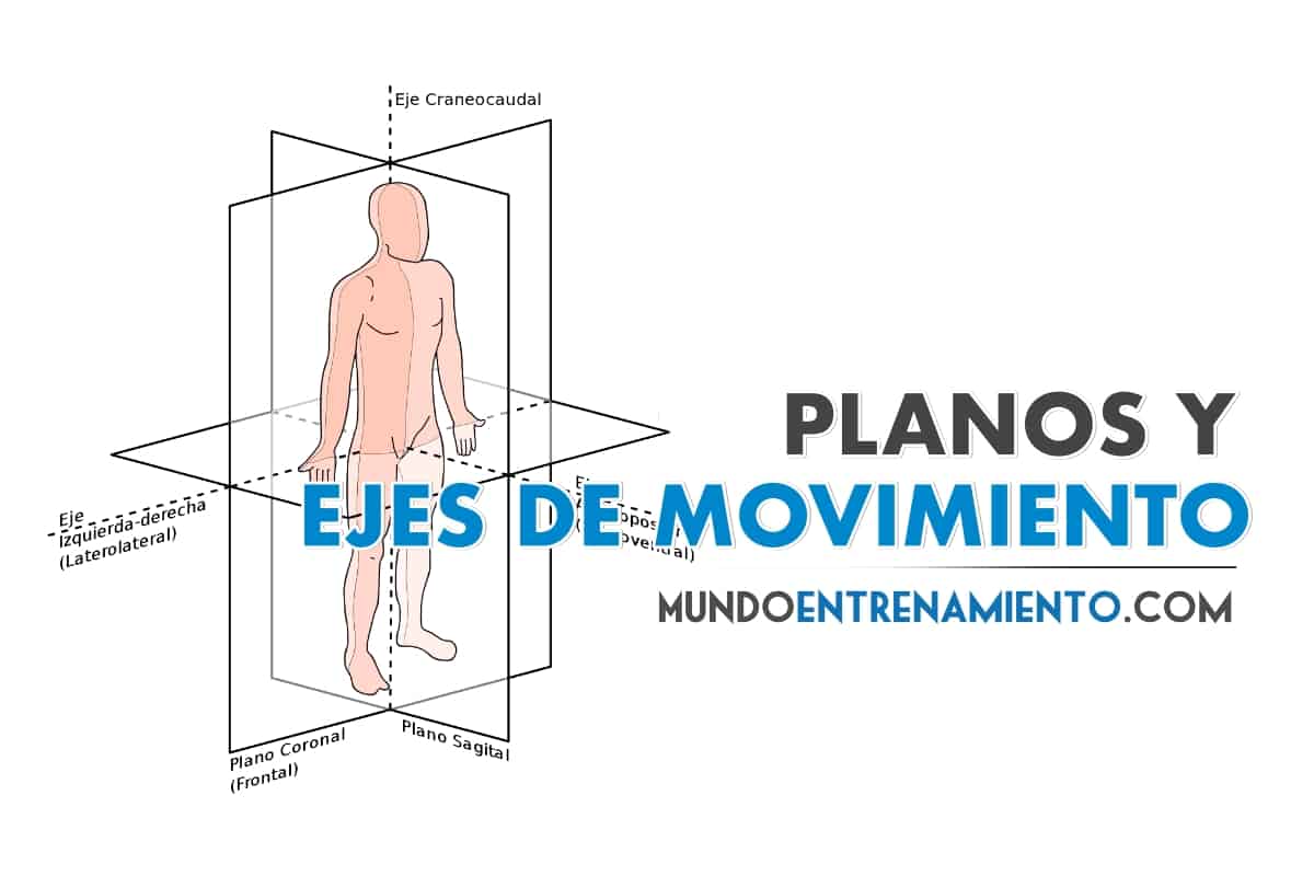 Planes and axes of motion