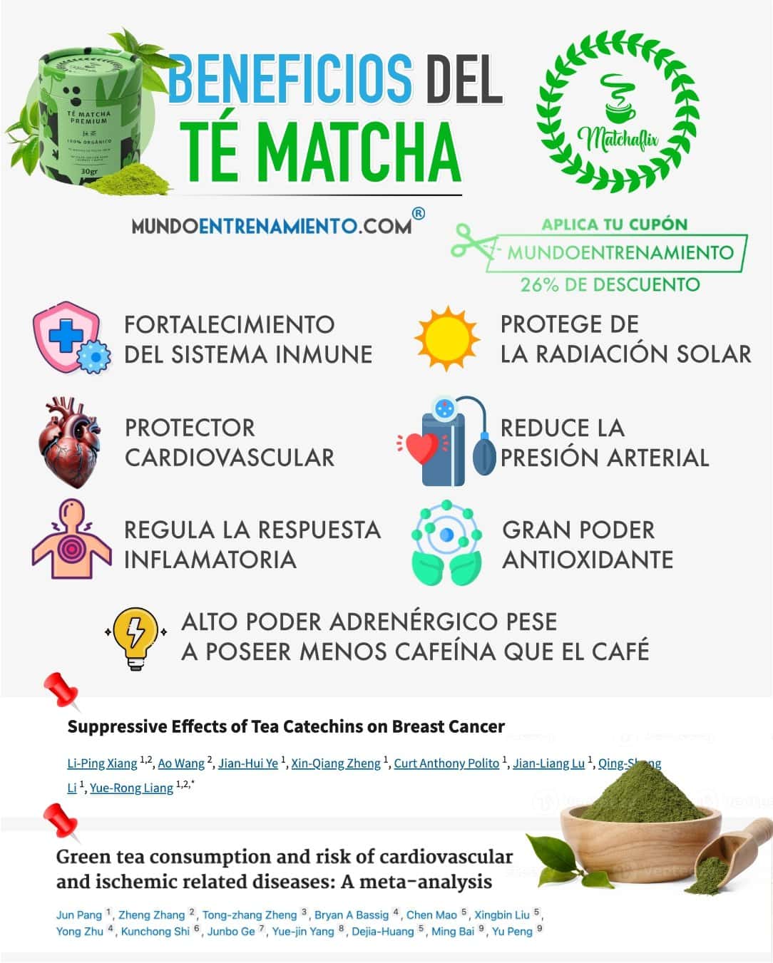 TE MATCHA MATCHAFLIX