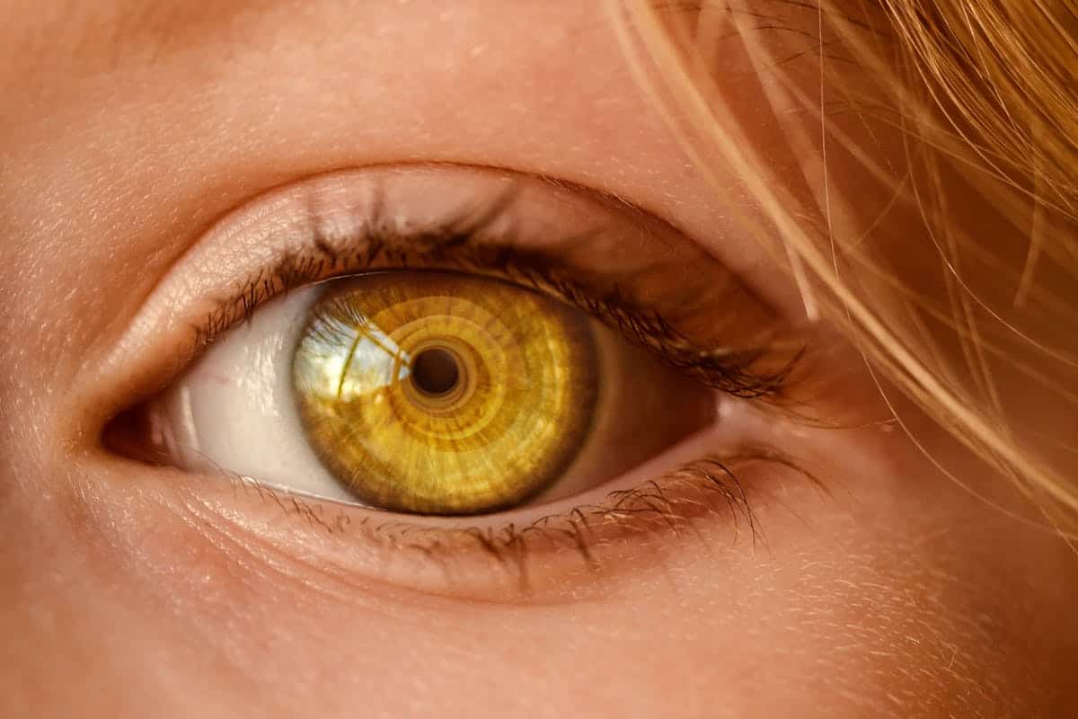 iris