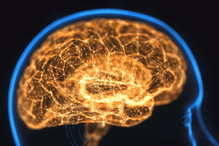 neuroestrógenos