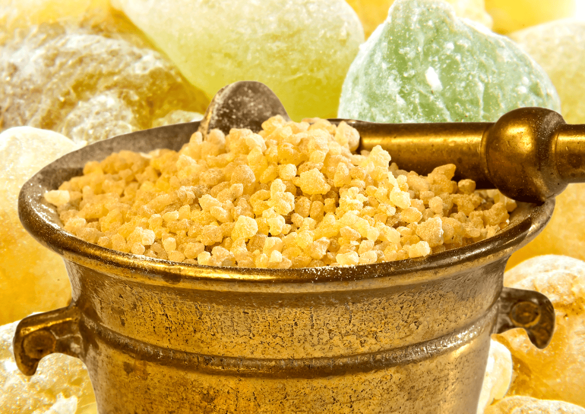 Boswellia serrata