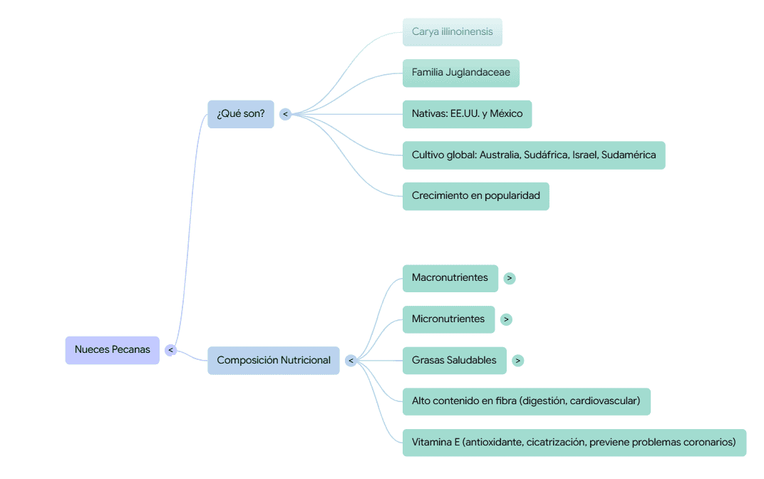 mapa mental nueces pecanas