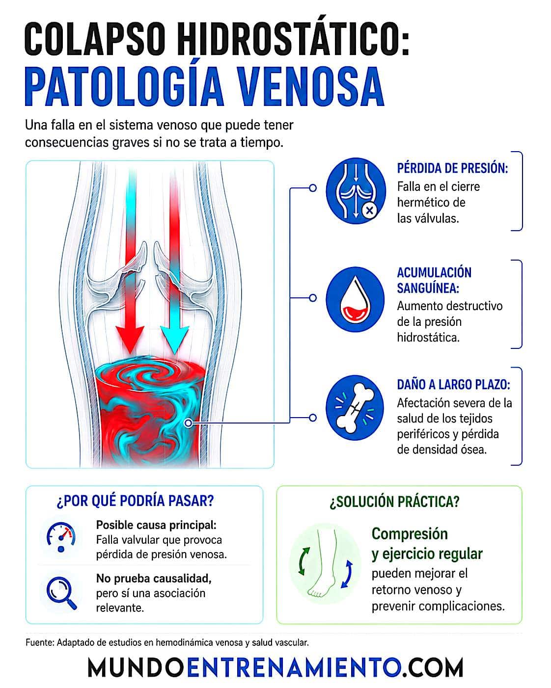 Los huesos de la pierna: anatomía completa Patología venosa