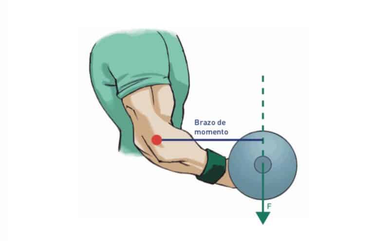 Brazo de momento ejercicio